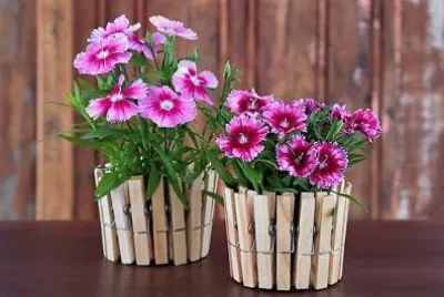 flores