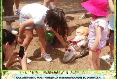 QUE ANIMALITO MAS TRANQUILO. DISFRUTANDO QUE LO DISFRACEN