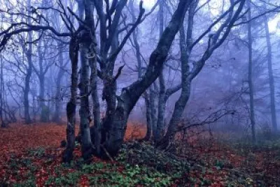 Imagem jigsaw puzzle