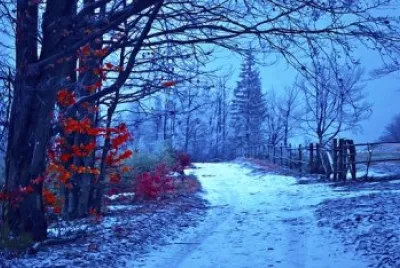 Imagem jigsaw puzzle