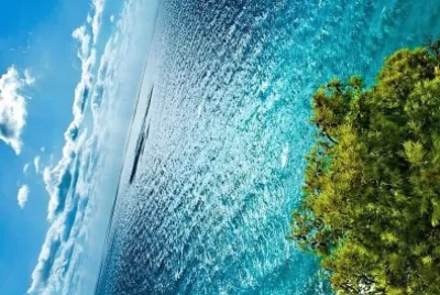 natural jigsaw puzzle