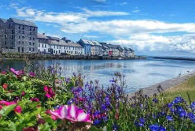 flores jigsaw puzzle