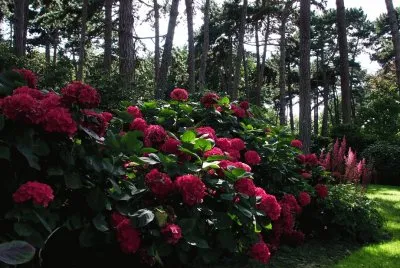 parc floral Vincennes jigsaw puzzle