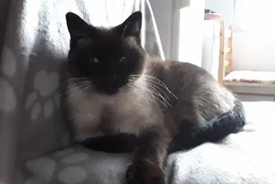 Mia
