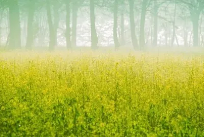 Imagem jigsaw puzzle