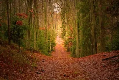 Imagem jigsaw puzzle