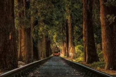 Imagem jigsaw puzzle