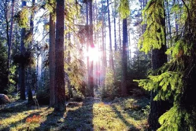 Imagem jigsaw puzzle