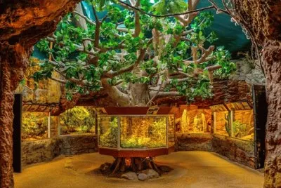 Imagem jigsaw puzzle