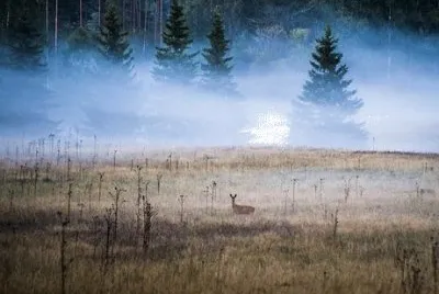 Imagem jigsaw puzzle