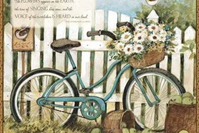 bici