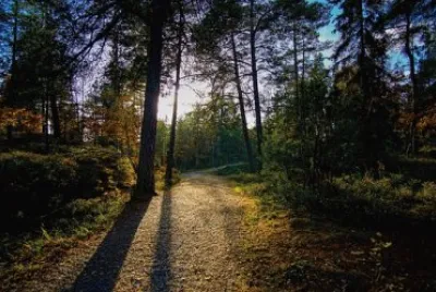 Imagem jigsaw puzzle