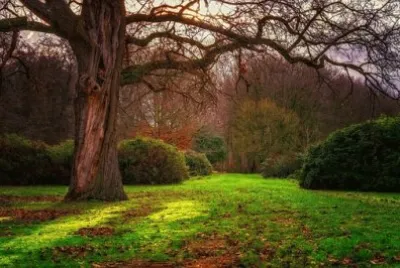 Nature jigsaw puzzle