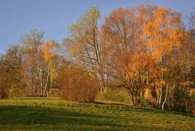 Nature jigsaw puzzle