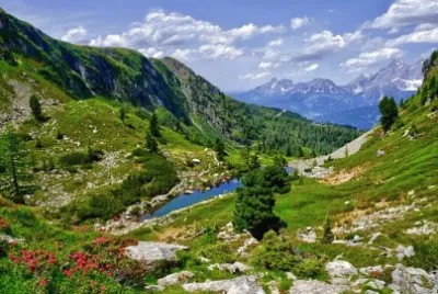 Nature jigsaw puzzle