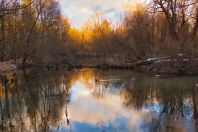 Imagem jigsaw puzzle