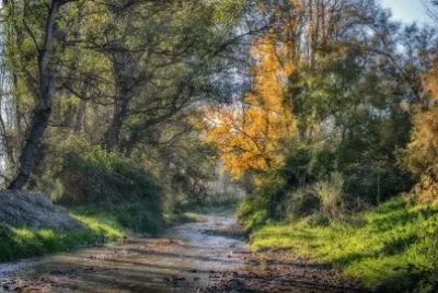 Imagem jigsaw puzzle