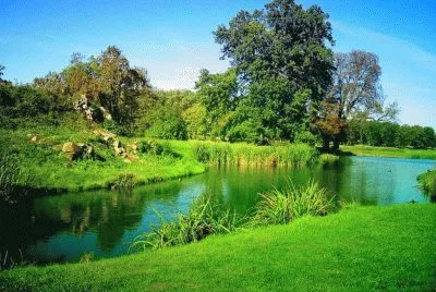 Imagem jigsaw puzzle