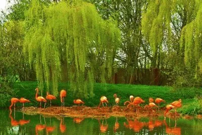 Imagem jigsaw puzzle