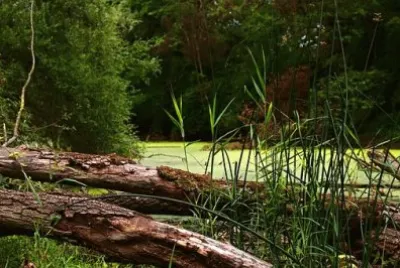 Imagem jigsaw puzzle