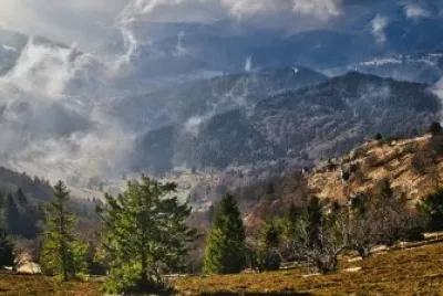 Imagem jigsaw puzzle