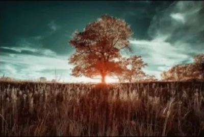 Imagem jigsaw puzzle