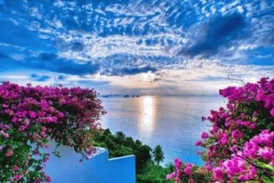 Imagem jigsaw puzzle