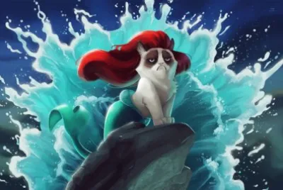 cat