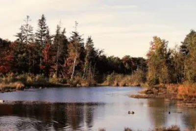 Imagem jigsaw puzzle