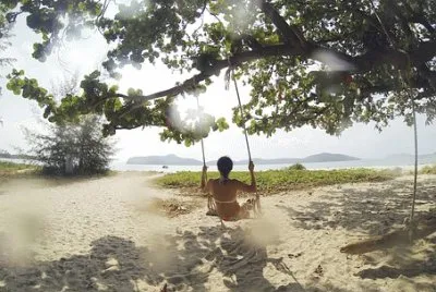 Imagem jigsaw puzzle