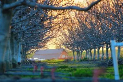 Imagem jigsaw puzzle