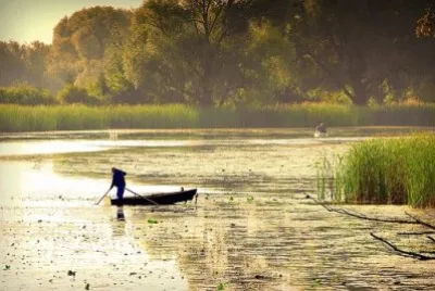 Imagem jigsaw puzzle