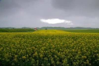 Imagem jigsaw puzzle