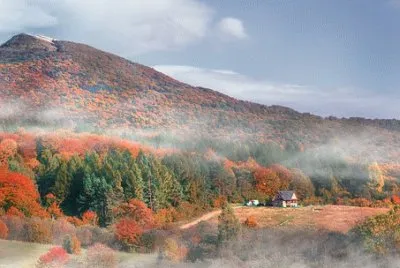 Imagem jigsaw puzzle