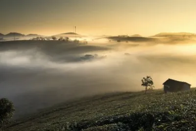 Imagem jigsaw puzzle