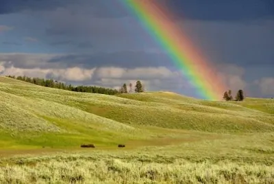 Imagem jigsaw puzzle
