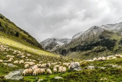 Imagem jigsaw puzzle