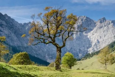 Imagem jigsaw puzzle
