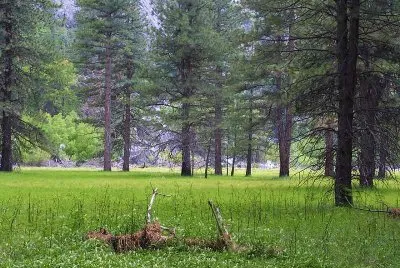 Imagem jigsaw puzzle