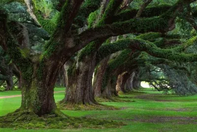 Imagem jigsaw puzzle