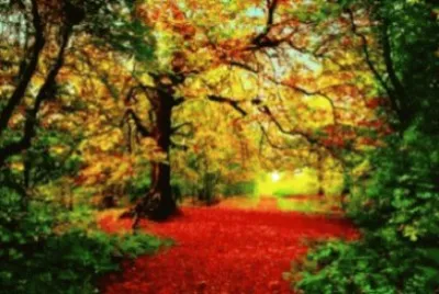 Imagem jigsaw puzzle