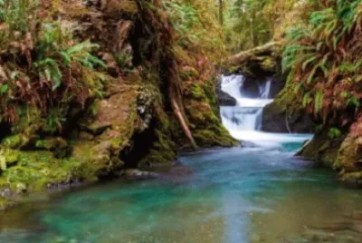 Imagem jigsaw puzzle