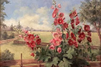 malva