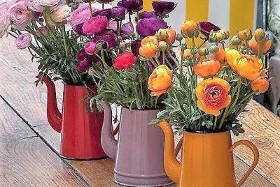 flores