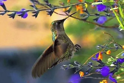 natural
