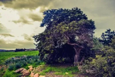 Imagem jigsaw puzzle