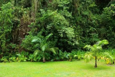 Imagem jigsaw puzzle