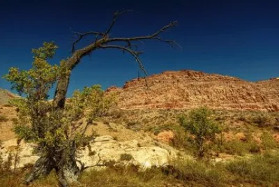 Imagem jigsaw puzzle