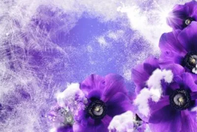Pretty Winter Background