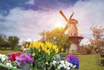 NATUREZA jigsaw puzzle